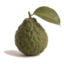 Bergamot