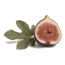 Fig