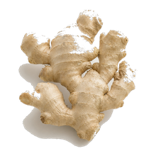Ginger