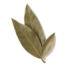 Pimento Leaf
