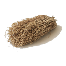 Vetiver
