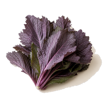 Violet Leaf