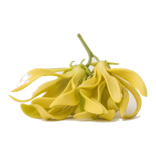 Ylang-Ylang